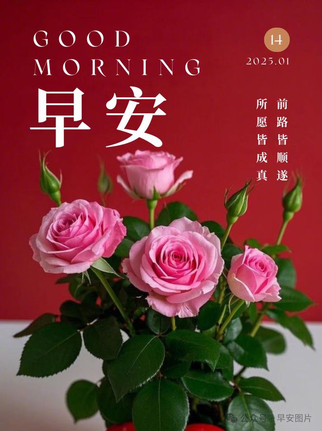 日-周二早上好祝福语图片大全麻将胡了2025年1月14(图11)